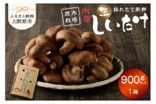 《数量限定》　原木生しいたけ 1箱（900g）大越路農園　山梨県上野原市産　贈答用