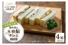 甲州桂川産 鮎サンド フライ 3切れ (210g)×4パック
