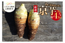 ◆◆2025年度収穫分先行予約◆◆「農家 農天氣がおくる」山梨県上野原市産 京芋 約4kg