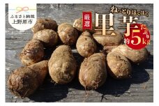 ◆◆2025年度収穫分先行予約◆◆「農家 農天氣がおくる」山梨県上野原市産 里芋 約5kg