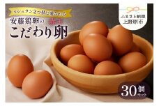 【山梨県産 卵】ミシュランも選ぶ高級卵セット（赤玉 30個）