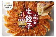【3ヶ月定期便】一徹堂・冷凍生餃子(30個)3パック