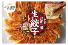 【定期便】《3回・隔月配送》一徹堂・冷凍生餃子(30個)3パック