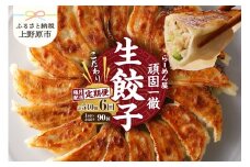 【定期便】《6回・隔月配送》一徹堂・冷凍生餃子(30個)3パック