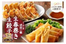 【定期便】《3回・隔月配送》一徹堂・冷凍生餃子(60個)＆生春巻き(10本)セット