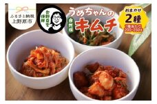 旬野菜で作るうめちゃんの自然派キムチ　おまかせ２種