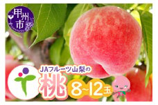 JAフルーツ山梨 甲州市産もも 8～12玉【80】【2025年発送】B2-104【 桃 モモ 令和7年発送 期間限定 山梨県産 甲州市 フルーツ 果物】