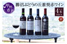 勝沼ぶどうの丘推奨 赤ワイン4本セット（KBO）D-604 【ワイン 赤ワイン 甲州市 山梨県】