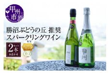勝沼ぶどうの丘推奨スパークリングワイン辛口2本セット B2-604【ワイン スパークリングワイン 甲州市 山梨県】