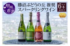 勝沼ぶどうの丘推奨スパークリングワイン6本セット（KBO）F-603【ワイン スパークリングワイン 甲州市 山梨県】