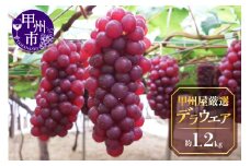 甲州屋厳選 勝沼産デラウエア葡萄 約1.2kg【2025年発送】B-115 【デラウエア ぶどう 葡萄 ブドウ 令和7年発送 期間限定 山梨県産 甲州市 フルーツ 果物】