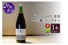 勝沼ぶどうの丘推奨一升瓶ワイン（KBO）B-650