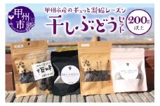 甲州市産干しぶどうセット200g以上 B-950