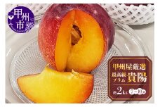甲州屋厳選 最高級プラム化粧箱入り【貴陽】約2kg（7～10個）【2025年発送】B15-132 【桃 もも モモ 令和7年発送 期間限定 山梨県産 甲州市 フルーツ 果物】
