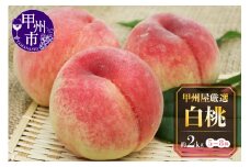 甲州屋厳選 白桃 約2kg 5～8玉【2025年発送】B15-133 【桃 もも モモ 令和7年発送 期間限定 山梨県産 甲州市 フルーツ 果物】
