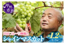 内田フルーツ農園のシャインマスカット約1.2kg【2025年発送】（UF）B-164 【シャインマスカット 葡萄 ぶどう ブドウ 令和7年発送 期間限定 山梨県産 甲州市 フルーツ 果物】