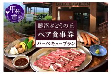 勝沼ぶどうの丘バーベキュー ペアお食事券（KBO）C-1302