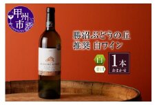 勝沼ぶどうの丘推奨 白ワイン（辛口）1本（KBO）B-652【ワイン 白ワイン 甲州市 山梨県】