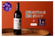 勝沼ぶどうの丘推奨 赤ワイン（ミディアムボディ）1本（KBO）B-653【ワイン 赤ワイン 甲州市 山梨県】