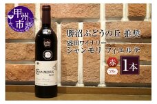 勝沼ぶどうの丘推奨 赤ワイン（フルボディ）1本 盛田ワイナリーシャンモリ フィエルテ B2-613