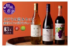 ぶどうの恵みセット　赤白ワイン（各１本）とぶどうジュース１本セット （KBO） C-653 【ワイン 赤ワイン 白ワイン ぶどう ジュース 甲州市 山梨県】
