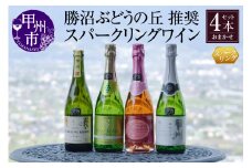 勝沼ぶどうの丘推奨スパークリングワイン4本セット（KBO）D-620【ワイン スパークリングワイン 甲州市 山梨県】