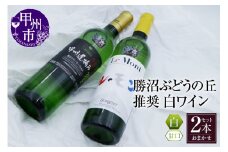 勝沼ぶどうの丘推奨 白ワイン（甘口）2本セット（KBO）B2-621【ワイン 白ワイン 甲州市 山梨県】