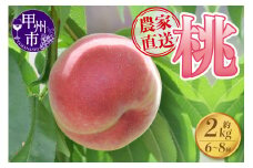 さんちゃんファームの桃約2kg（6玉～8玉）【2025年発送】B-151 【桃 もも モモ 令和7年発送 期間限定 山梨県産 甲州市 フルーツ 果物】