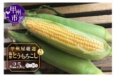 甲州屋厳選 高原とうもろこし A級品 約2.5kg（8～10本）【2025年発送】B-141