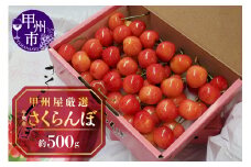 甲州屋厳選 牛奥産さくらんぼ 約500g【2025年発送】B15-195 