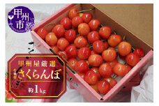 甲州屋厳選 牛奥産さくらんぼ 約1kg【2025年発送】D-118