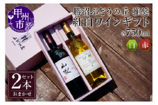 勝沼ぶどうの丘推奨・紅白ギフトセット C-657【ワイン 白ワイン 赤ワイン 甲州市 山梨県】