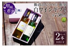 勝沼ぶどうの丘推奨・白ワイン2本のギフトセット C-658【ワイン 白ワイン 甲州市 山梨県】