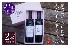 勝沼ぶどうの丘推奨・赤ワイン2本のギフトセット C-659【ワイン 赤ワイン 甲州市 山梨県】
