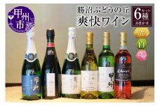 爽快ワイン６種セット　E-603