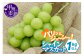 写真はイメージとなります。