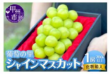 葡萄の里 シャインマスカット 1房（700g以上）【2025年発送】（HK）B-440【シャインマスカット 葡萄 ぶどう ブドウ 令和7年発送 期間限定 山梨県産 甲州市 フルーツ 果物】