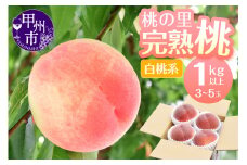 桃の里 完熟桃 白桃系 1kg以上（3〜5玉）【2025年発送】（HK）B-442