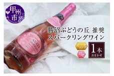 勝沼ぶどうの丘推奨 スパークリングワイン ロゼ1本（KBO）B-684 【ワイン スパークリングワイン ロゼワイン 甲州市 山梨県】