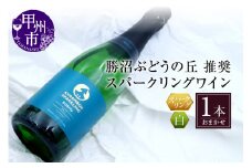 勝沼ぶどうの丘推奨 スパークリングワイン 白 1本（KBO）B-681【ワイン スパークリングワイン 白ワイン 甲州市 山梨県】