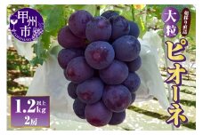 【朝採り直送】大粒ピオーネ（種無し）1.2kg以上（3Lサイズ2房）【2025年発送】（AF）B-451【ピオーネ ぶどう 葡萄 ブドウ 令和7年発送 期間限定 山梨県産 甲州市 フルーツ 果物】