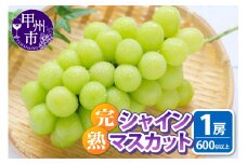 池田青果の「完熟」シャインマスカット 600g以上 1房【2025年発送】（IS）B-466【シャインマスカット 葡萄 ぶどう ブドウ 令和7年発送 期間限定 山梨県産 甲州市 フルーツ 果物】