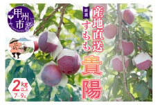 厳選！産地直送すもも「貴陽」2kg以上（7～9玉）【2025年発送】（KKH）B15-425 【貴陽 すもも 桃 もも 令和7年発送 期間限定 山梨県産 甲州市 フルーツ 果物】