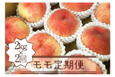 【定期便】年2回モモ定期便 約2.0kg×2回【2025年発送】（KSB）D-128【桃 もも モモ 令和7年発送 期間限定 山梨県産 甲州市 フルーツ 果物】