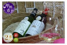 厳選ワイナリーの甲州ベーリーA赤白ワイン2本セット(MG)B2-660