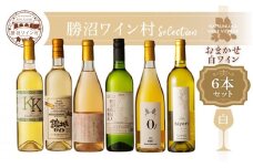 勝沼ワイン村 おまかせワイン（白）6本セット（KWV）F4-650