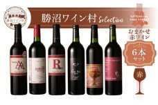 勝沼ワイン村 おまかせワイン（赤）6本セット（KWV）H-620
