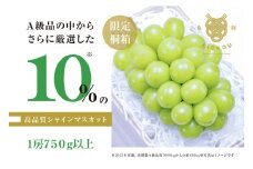「亀輝」最高級シャインマスカット1房750g以上【限定桐箱入り】【2025年発送】（RO）D-123 【亀輝 シャインマスカット 葡萄 ぶどう ブドウ 令和7年発送 期間限定 山梨県産 甲州市 フルーツ 果物】