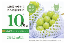 【数量限定】粒が詰まった高級シャインマスカット「亀光」2房1.2kg以上【2025年発送】（RO）C-136 【亀光 シャインマスカット 葡萄 ぶどう ブドウ 令和7年発送 期間限定 山梨県産 甲州市 フルーツ 果物】