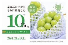 【数量限定】粒が詰まった高級シャインマスカット「亀光」2房1.2kg以上【2025年発送】（RO）C-136 【亀光 シャインマスカット 葡萄 ぶどう ブドウ 令和7年発送 期間限定 山梨県産 甲州市 フルーツ 果物】
